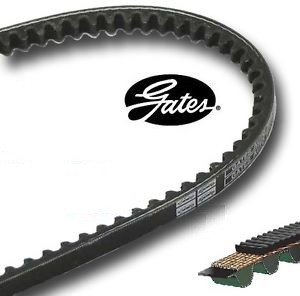 Gates Fan Belt : 11A1550