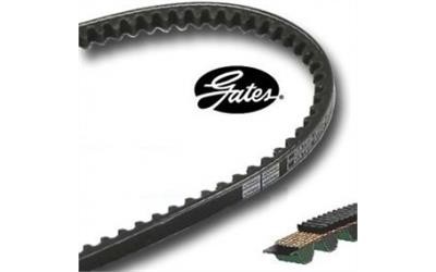Gates Fan Belt : 11A1180