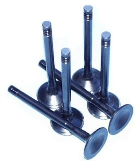 EVL Intake Valve : suit Slant 6  (1.62") Oversize stem