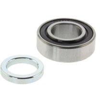 Rear Axle Bearing Set : Dodge / Chrysler  8.25 Differential (1965-76)