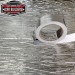Car Builders Van Liner Tape, 38mm x 25m roll