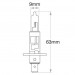 Narva : H1 - 12v - 100w Globe (P14.5s Base)