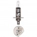 Narva : H1 - 12v - 100w Globe (P14.5s Base)