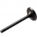 Intake Valve : Head 1.88" : 2 groove :  Small Block 340/360