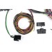 Universal Wiring Loom : 12 Circuit