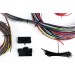 Universal Wiring Loom : 12 Circuit