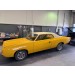 Exterior Vinyl Roof : suit VH/VJ/CH/VJ Hardtop (Beige)