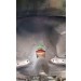 Complete T5 5 Speed Conversion Kit [Auto to Manual]